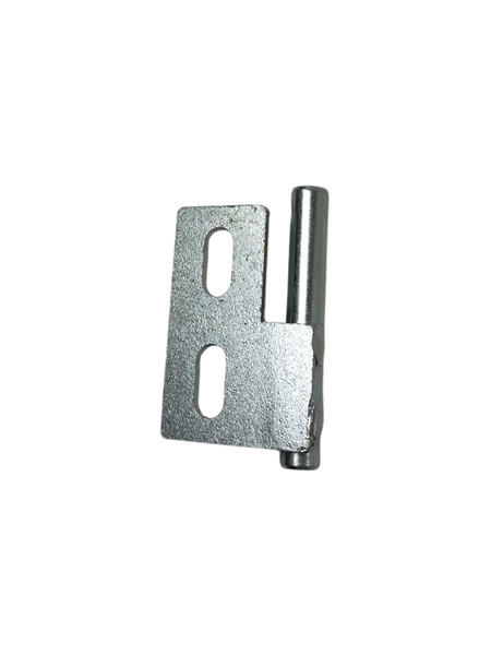 Zawiasa 244.00.00.300